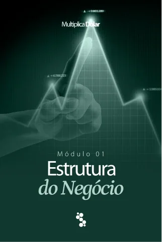 Módulo 1 do Multiplica Dólar: Estrutura do Negócio